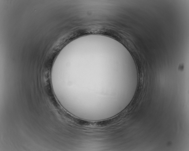 X0000116370503200912021013