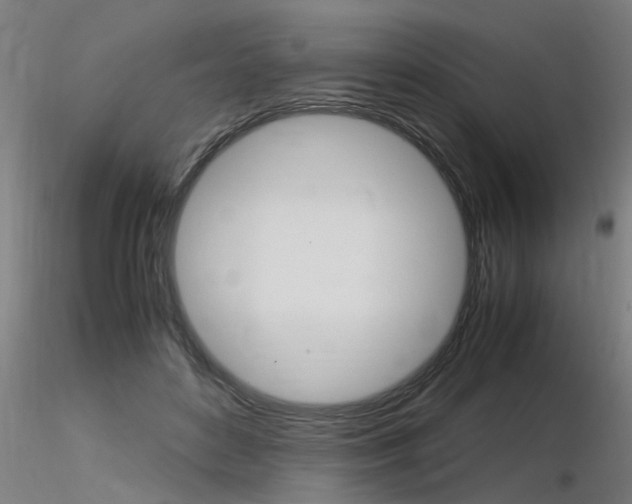 X0000116370504200912021013