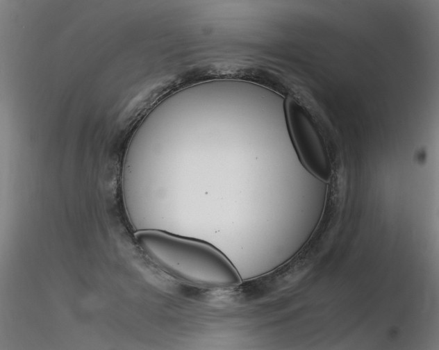 X0000116370505200912021013