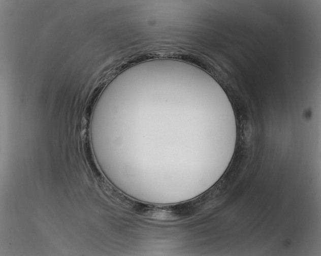 X0000116370507200912021013