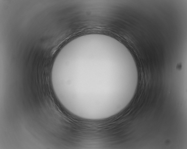 X0000116370508200912021013