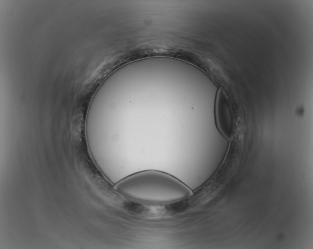 X0000116370509200912021013
