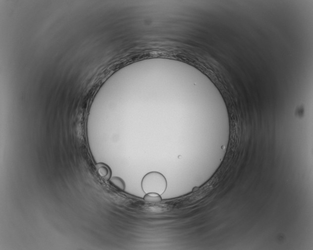 X0000116370510200912021013