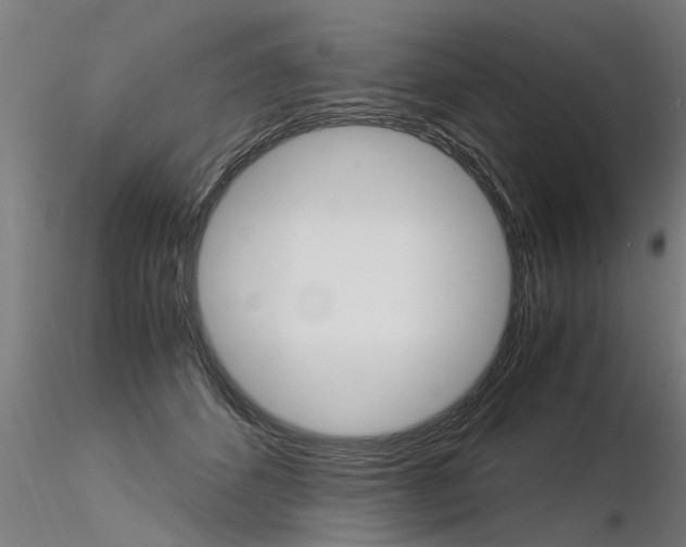 X0000116370512200912021013