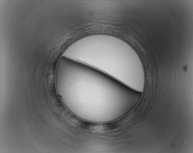 X0000116370513200912021013