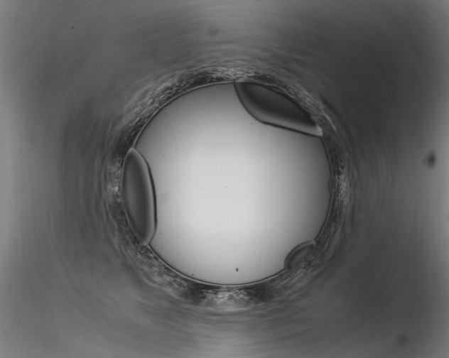 X0000116370517200912021013