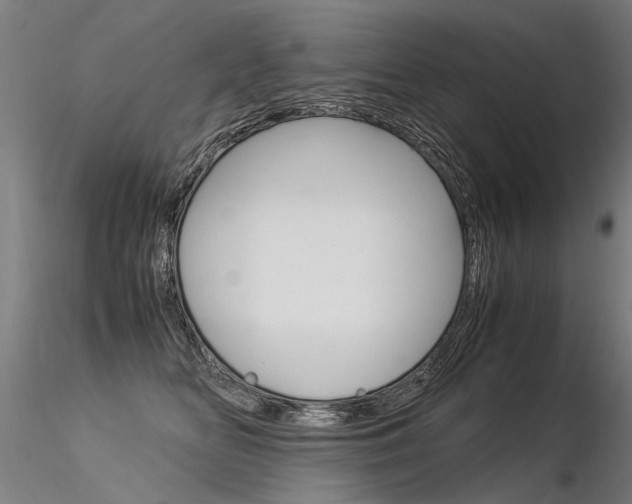 X0000116370518200912021013