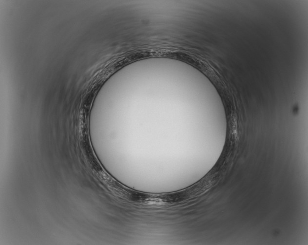 X0000116370519200912021013