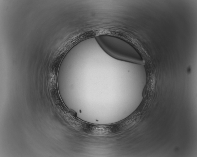 X0000116370521200912021013