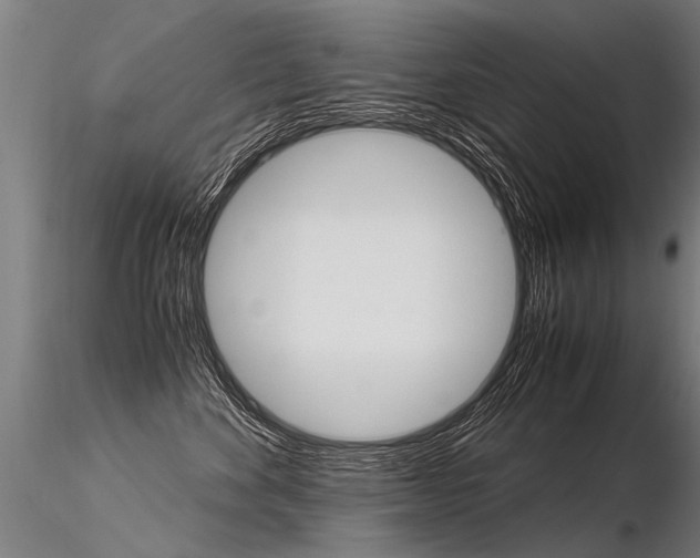 X0000116370524200912021013