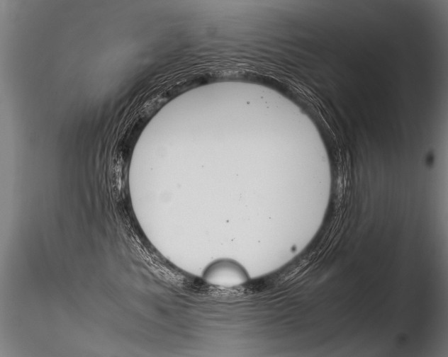 X0000116370525200912021013