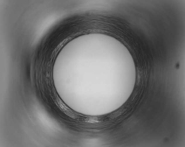 X0000116370526200912021012
