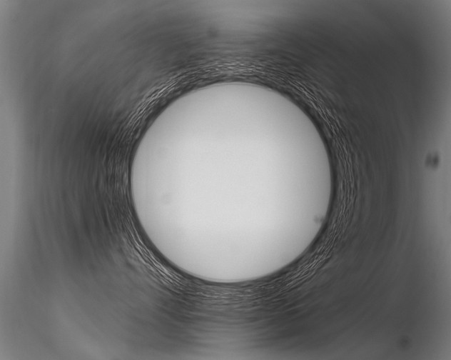 X0000116370528200912021012