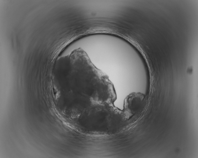 X0000116370529200912021012