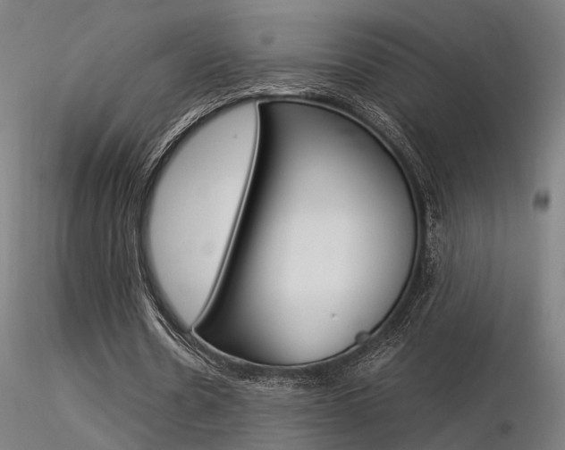 X0000116370530200912021012