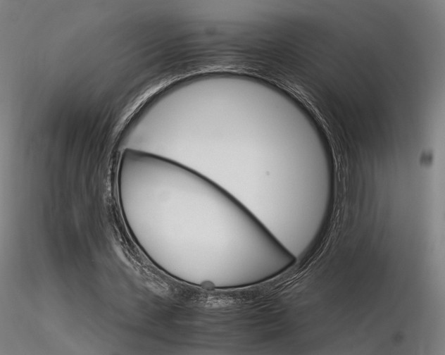 X0000116370531200912021012