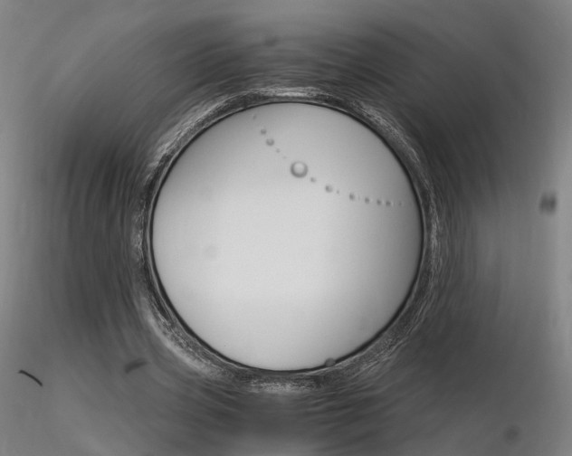 X0000116370533200912021012