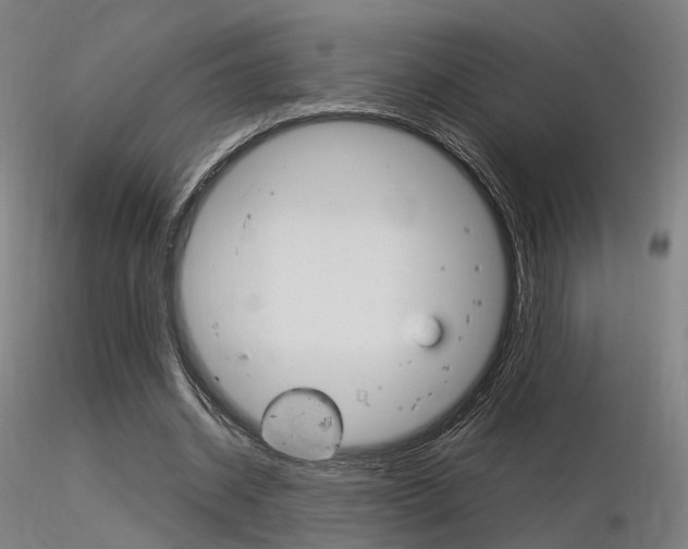X0000116370534200912021012