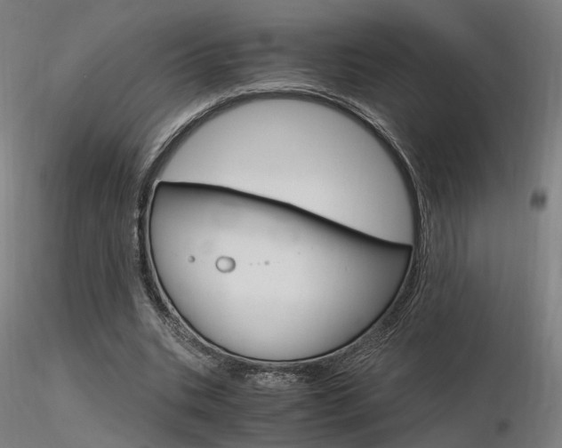 X0000116370535200912021012