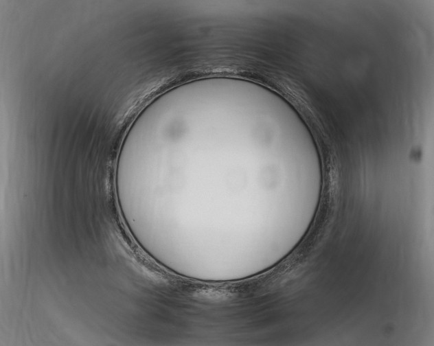X0000116370537200912021012