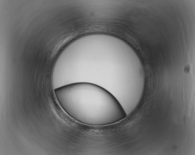 X0000116370538200912021012