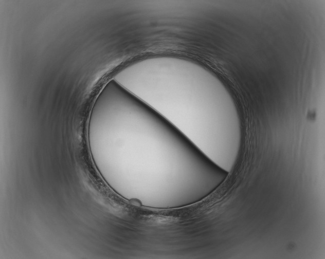 X0000116370539200912021012