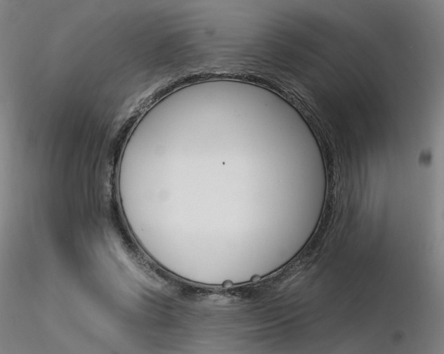 X0000116370542200912021012