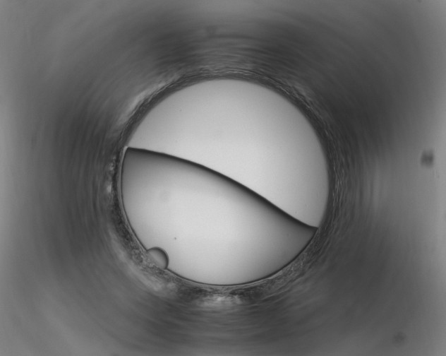 X0000116370543200912021012