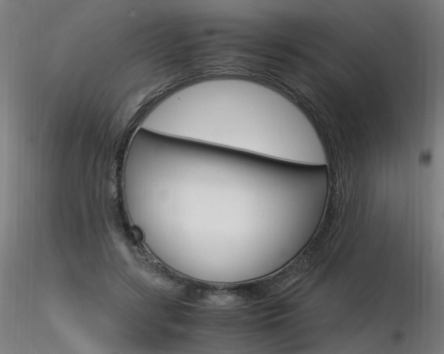 X0000116370547200912021012