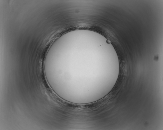 X0000116370550200912021012