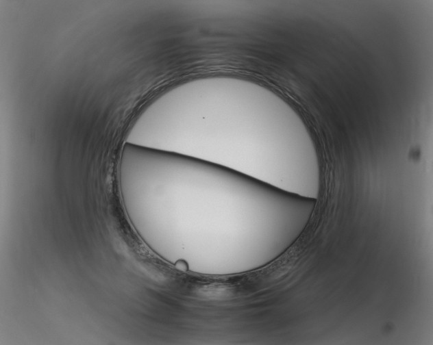 X0000116370551200912021012