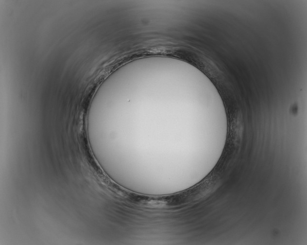 X0000116370554200912021012