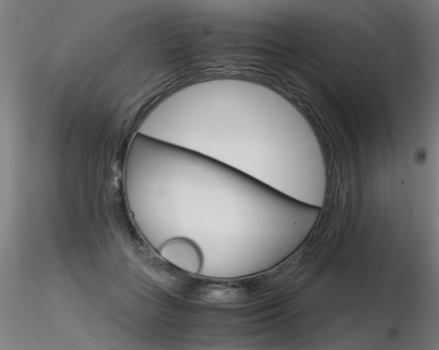 X0000116370555200912021012