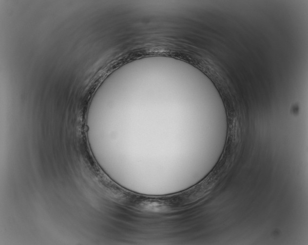 X0000116370557200912021012