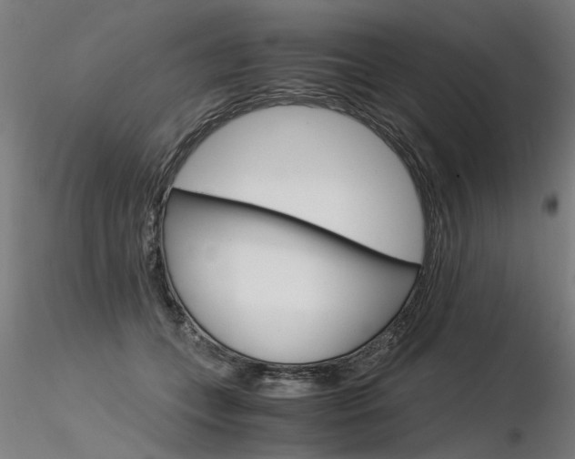 X0000116370559200912021012