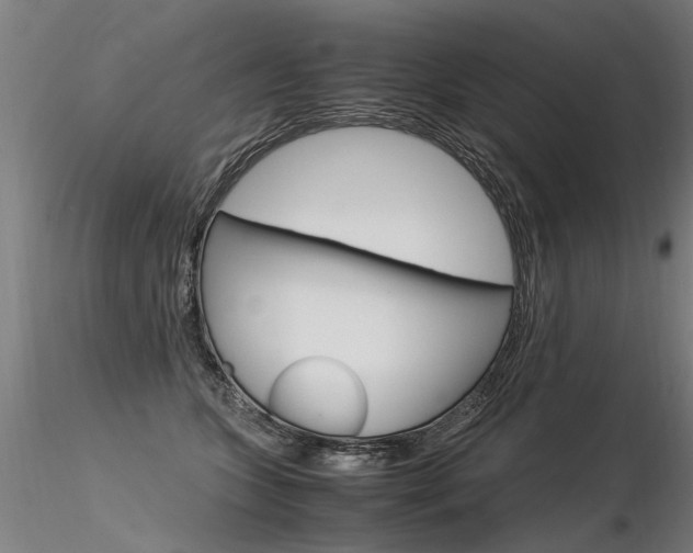 X0000116370563200912021012