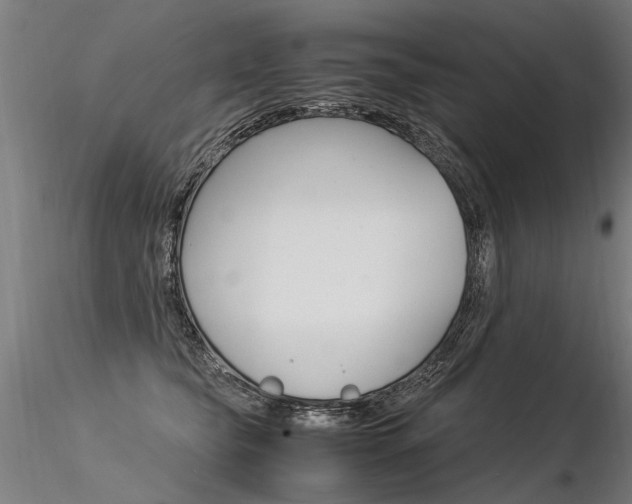 X0000116370565200912021012
