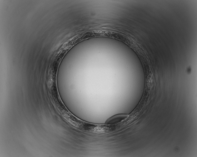 X0000116370566200912021012
