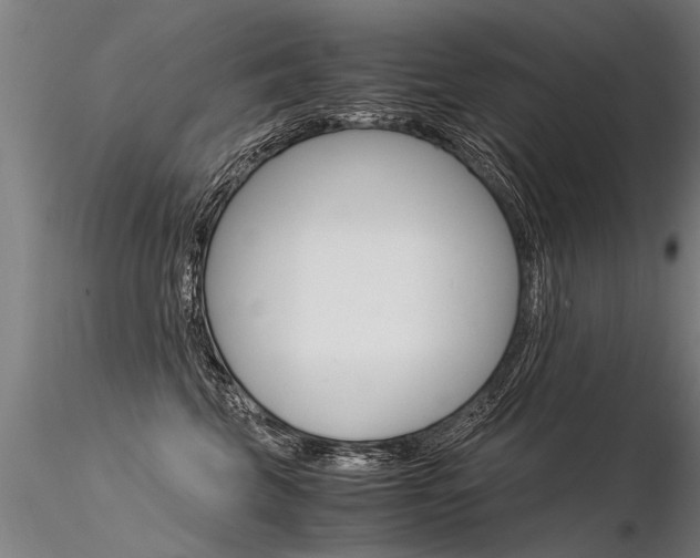 X0000116370569200912021012