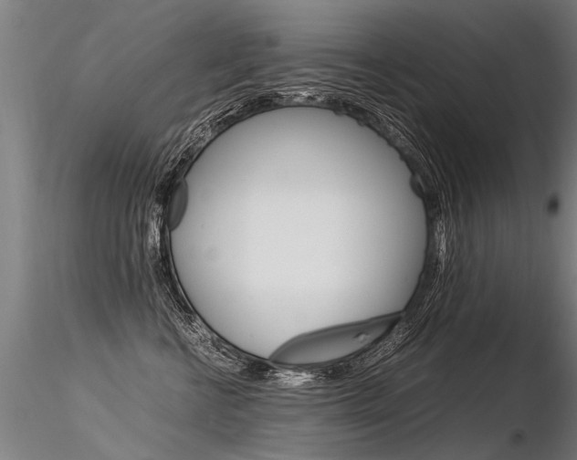 X0000116370570200912021012