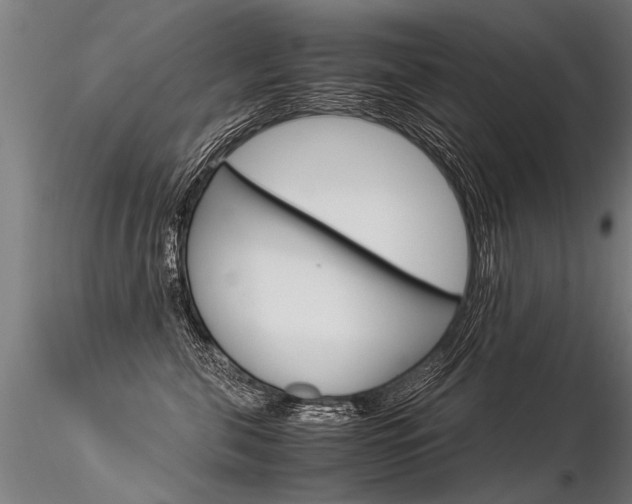X0000116370571200912021012