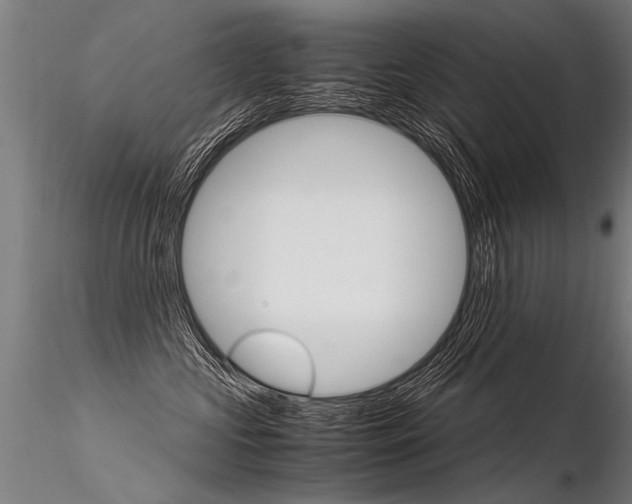 X0000116370573200912021012