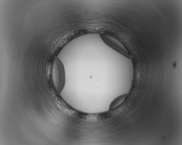 X0000116370574200912021012