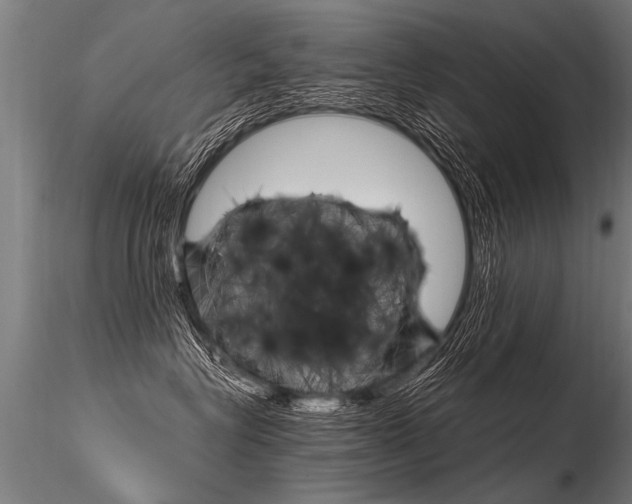 X0000116370575200912021012