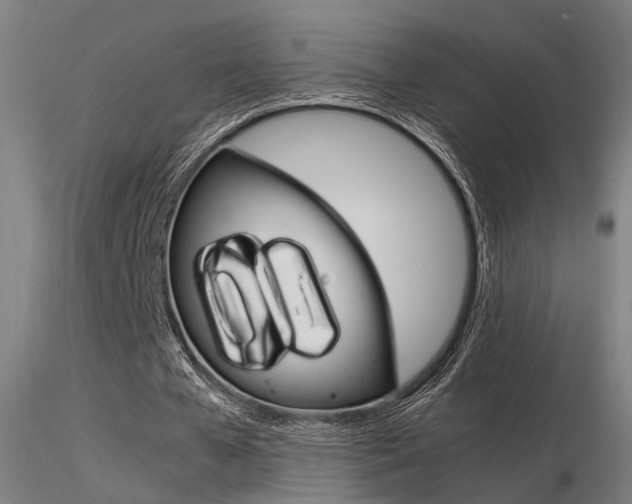 X0000116370577200912021012