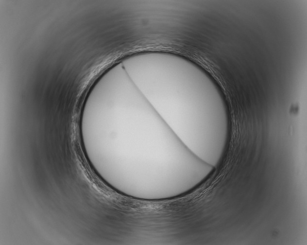 X0000116370578200912021012