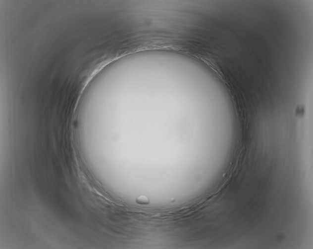 X0000116370579200912021012