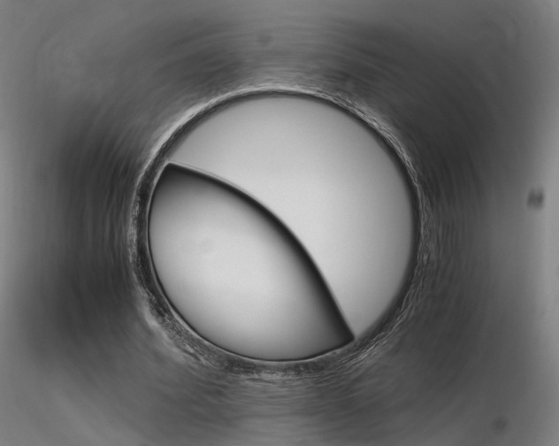 X0000116370580200912021012