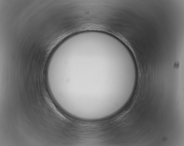 X0000116370581200912021012