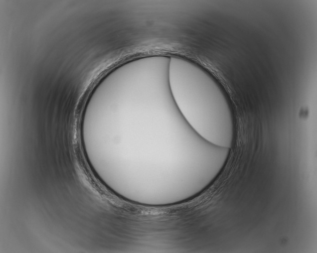 X0000116370582200912021012
